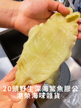 將圖片載入圖庫檢視器 20頭野生深海鰵魚膠公 (半斤裝/300g)