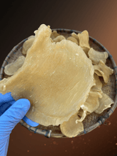 將圖片載入圖庫檢視器 12頭野生深海鰵魚膠公 (半斤裝/300g)(生開肚)