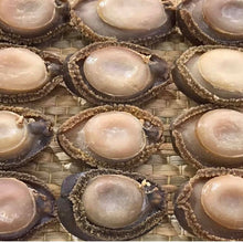 將圖片載入圖庫檢視器 7頭日本溏心網鮑 (一斤庄)