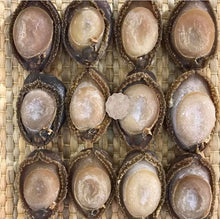 將圖片載入圖庫檢視器 9-10頭日本溏心網鮑 (一斤庄)