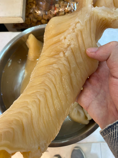 花膠處理:慣常浸發方法