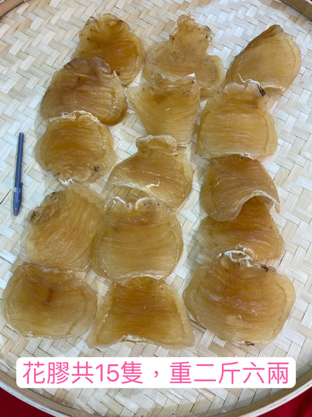 野生鰵魚膠，修復傷口藥用價值大!