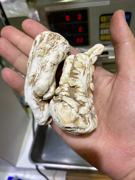 常用中藥材介紹:當歸有乜好？