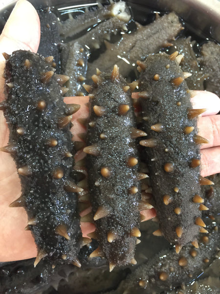 香港人至愛，滋補養生零煩惱：港榮海味雜貨 免費浸發海參服務
