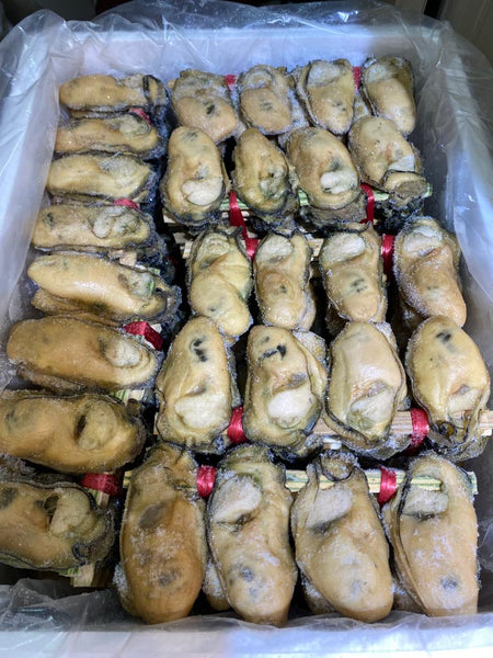 2025年第一批金蠔終於到香港啦!!