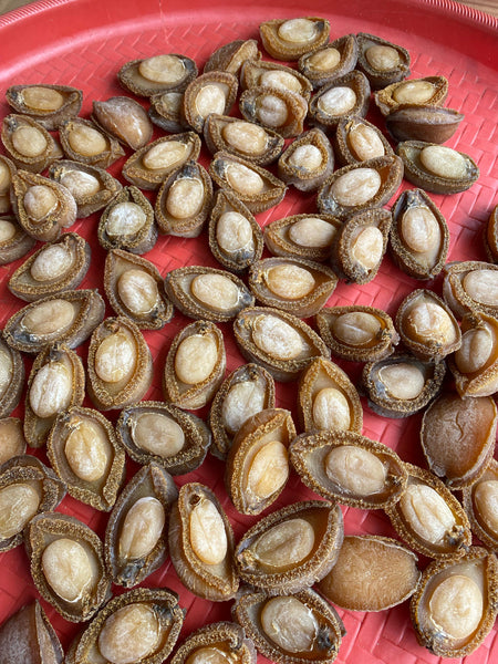 真正值得收藏的乾鮑魚:13頭日本吉品鮑
