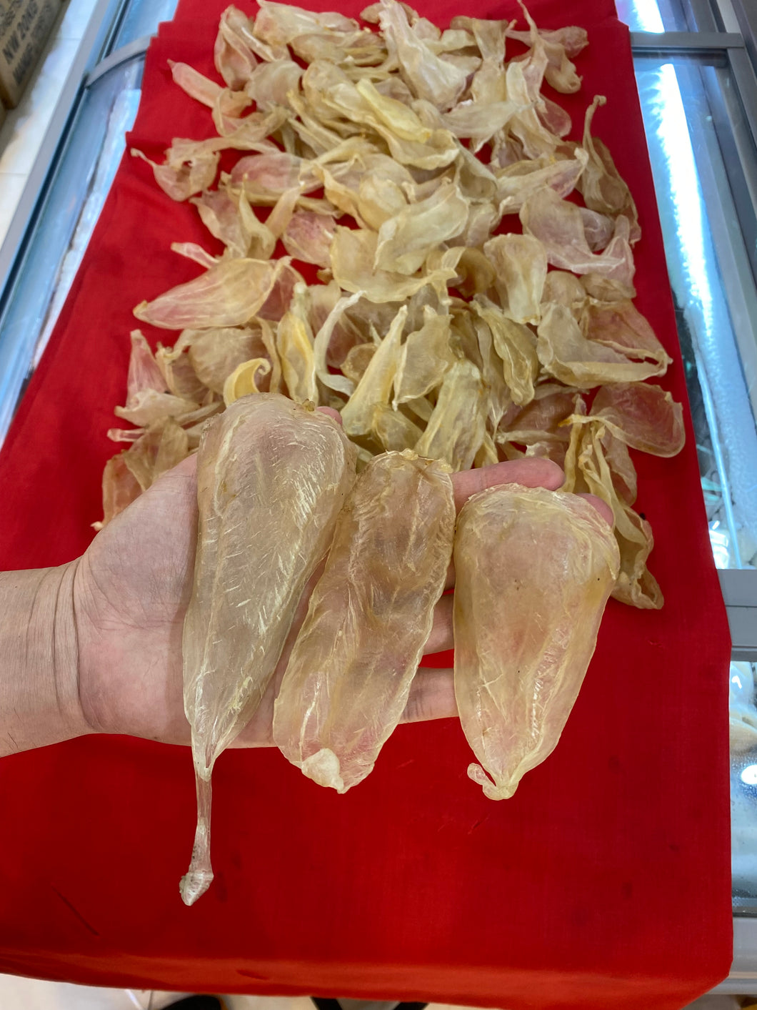 75頭印尼野生白花膠(半斤庄)