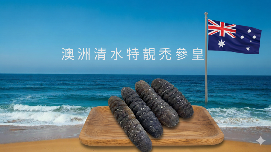澳洲清水特靚禿參皇(6支/斤)（一斤庄/605克)