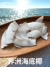 將圖片載入圖庫檢視器 非洲海底椰(切片)(二両)
