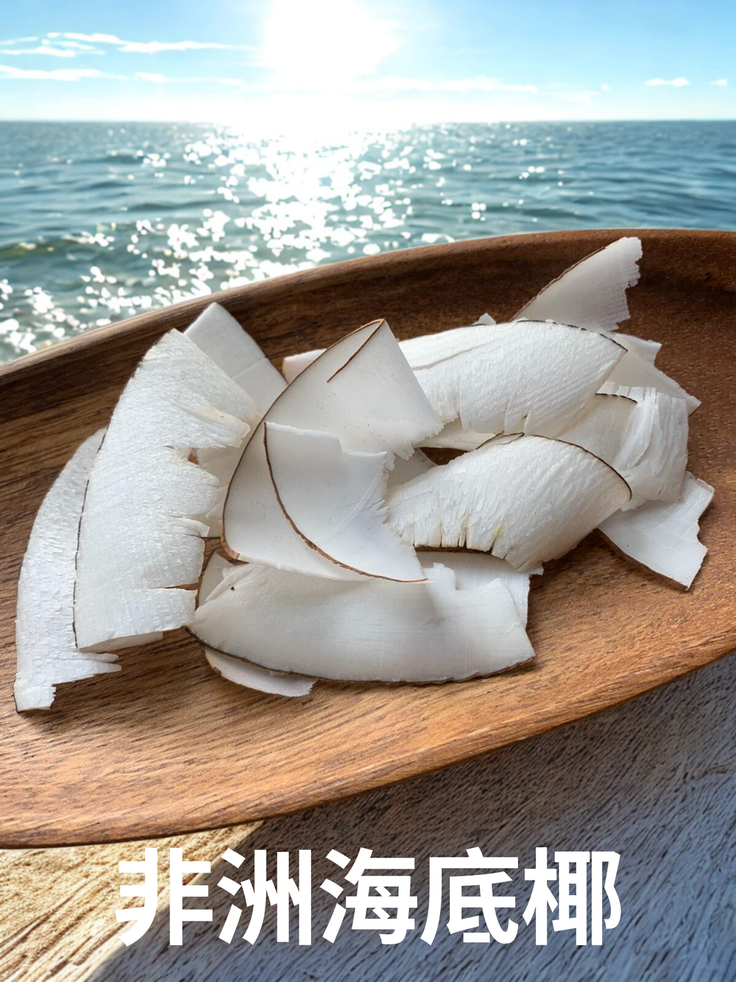 非洲海底椰(切片)(二両)