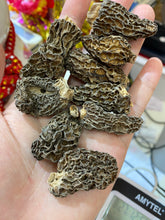 將圖片載入圖庫檢視器 野生羊肚菌(1兩庄)
