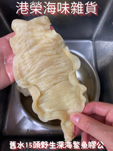 將圖片載入圖庫檢視器 舊水15頭野生深海鰵魚膠公 (半斤裝/300g)（生開肚）
