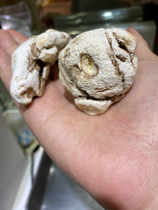 珍寶大當歸頭（二兩庄/75克）