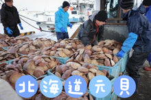 將圖片載入圖庫檢視器 日本一等北海道宗谷元貝
