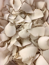 將圖片載入圖庫檢視器 非洲海底椰(切片)(二両)
