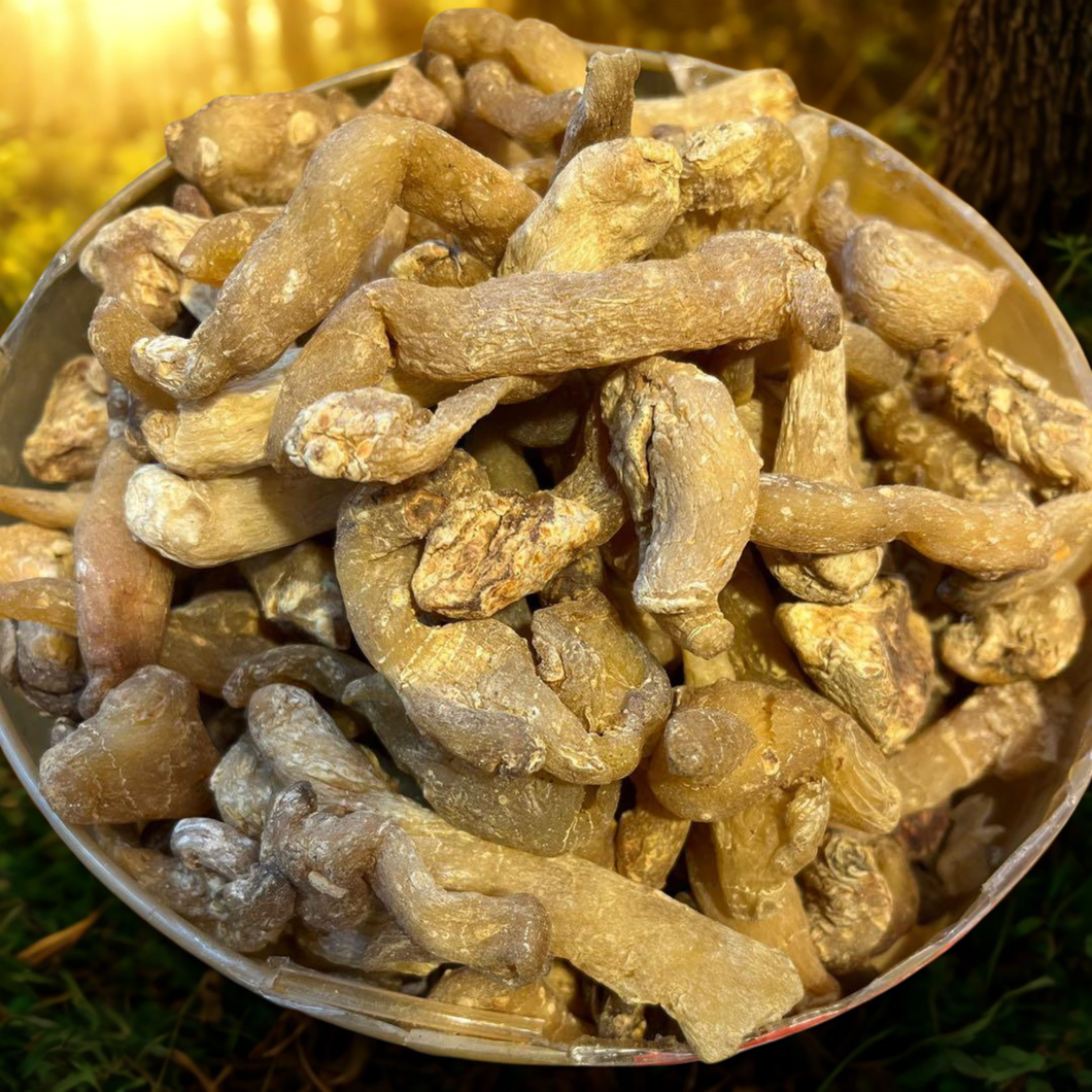 正海玉竹條(半斤裝)