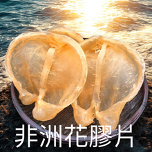 將圖片載入圖庫檢視器 12-14 頭非洲花膠片（一斤庄）產地直送
