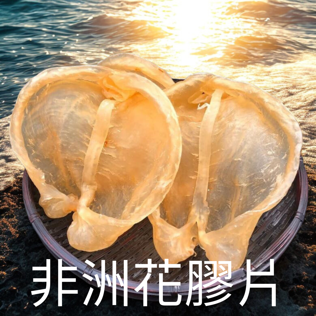 12-14 頭非洲花膠片（一斤庄）產地直送