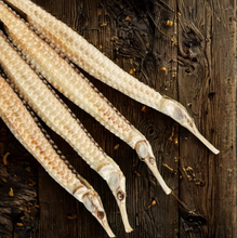 將圖片載入圖庫檢視器 特大正澳洲海龍（一條重一兩）
