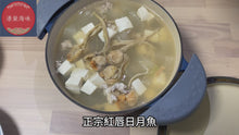 將影片載入圖庫檢視器並播放，正宗紅唇日月魚(一斤庄/605g)
