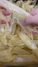 將影片載入圖庫檢視器並播放，88頭野生澳洲花膠筒
