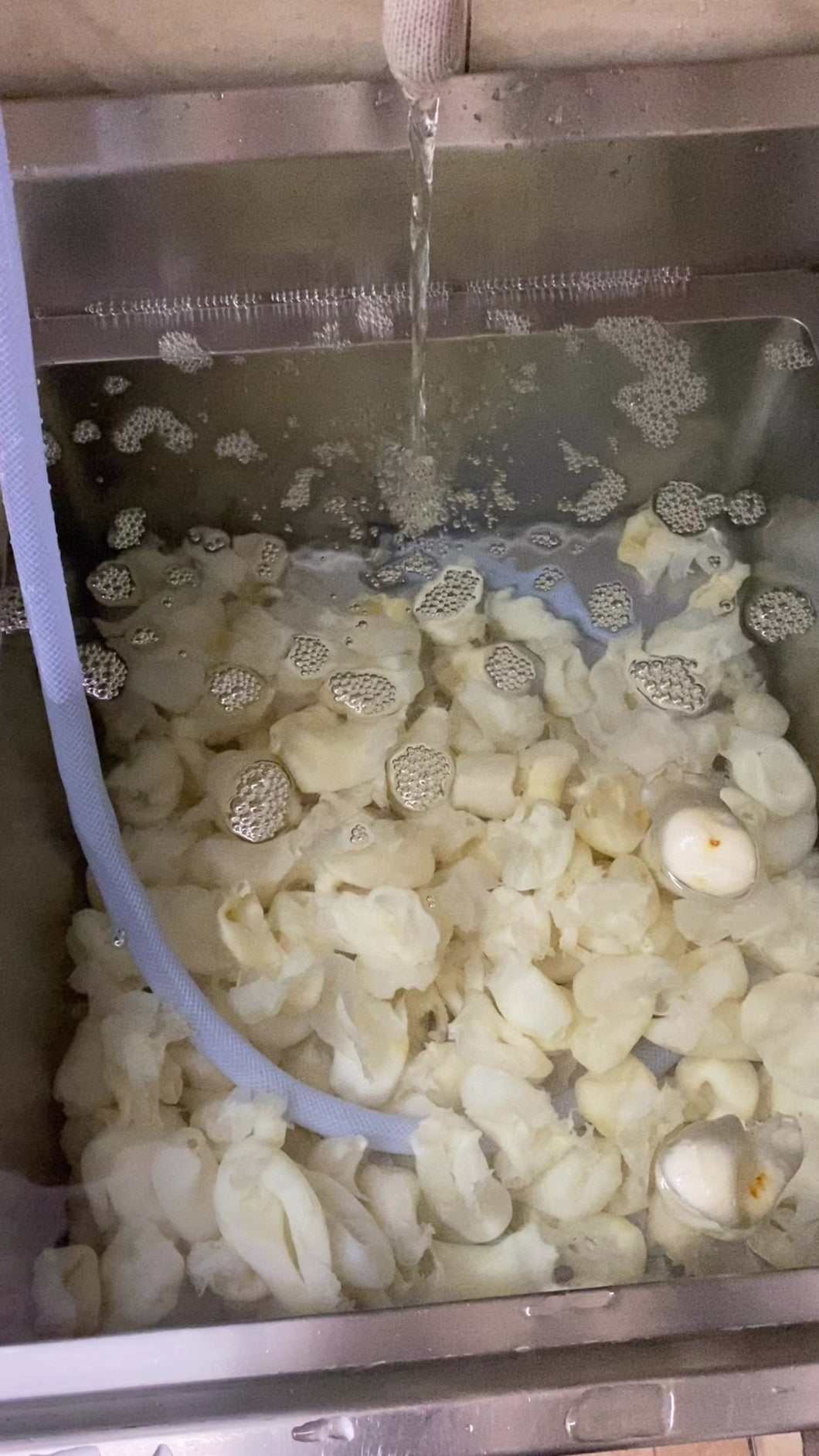 （已浸好）東南亞花膠Ball Ball （ready to use )