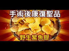 將影片載入圖庫檢視器並播放，12頭野生深海鰵魚膠公 (半斤裝/300g)（生開肚）
