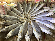 將圖片載入圖庫檢視器 特大孟加拉三牙或咸魚
