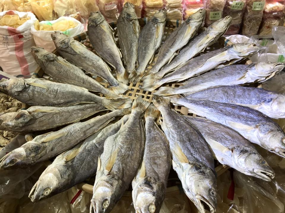 特大孟加拉三牙或咸魚