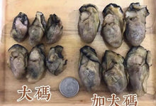 將圖片載入圖庫檢視器 日本廣島蠔豉(半斤裝/300g)2025年頭期貨
