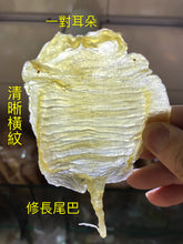 將圖片載入圖庫檢視器 30頭野生深海鰵魚膠 (半斤裝/300g)
