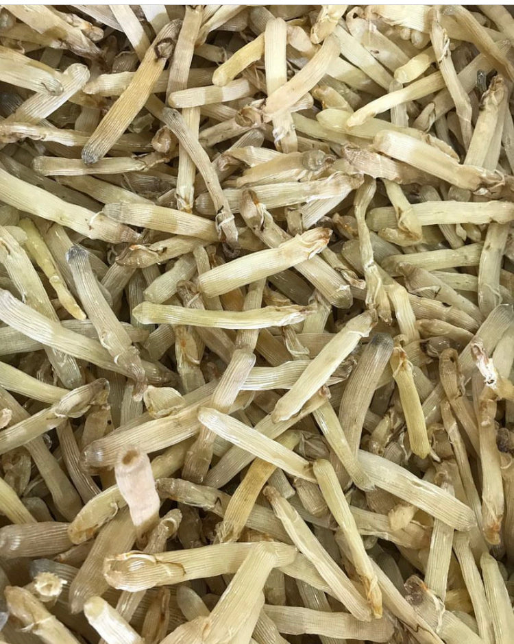 沙蟲乾 (半斤裝/300G)