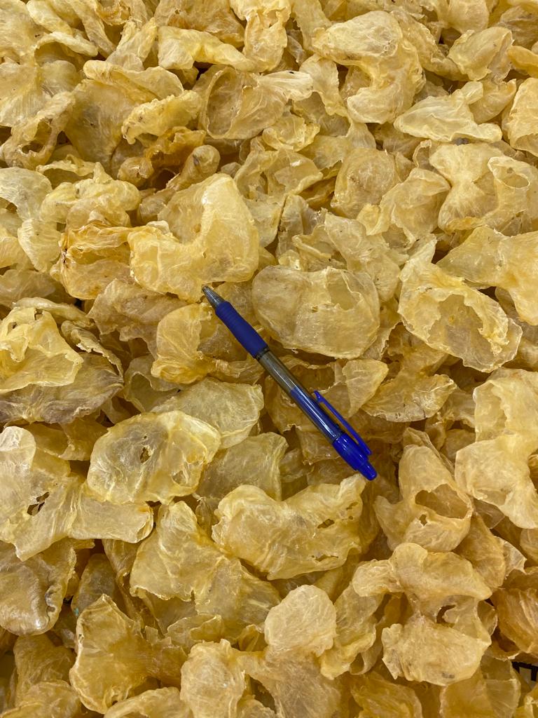 經濟級雞泡膠(1斤裝 600g)(暖宮一流  幫助女性備孕)