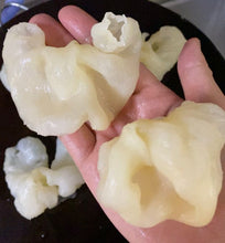 將圖片載入圖庫檢視器 經濟級雞泡膠(1斤裝 600g)(暖宮一流  幫助女性備孕)
