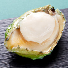 將圖片載入圖庫檢視器 珍寶澳洲野生青邊鮑魚(450克以上)
