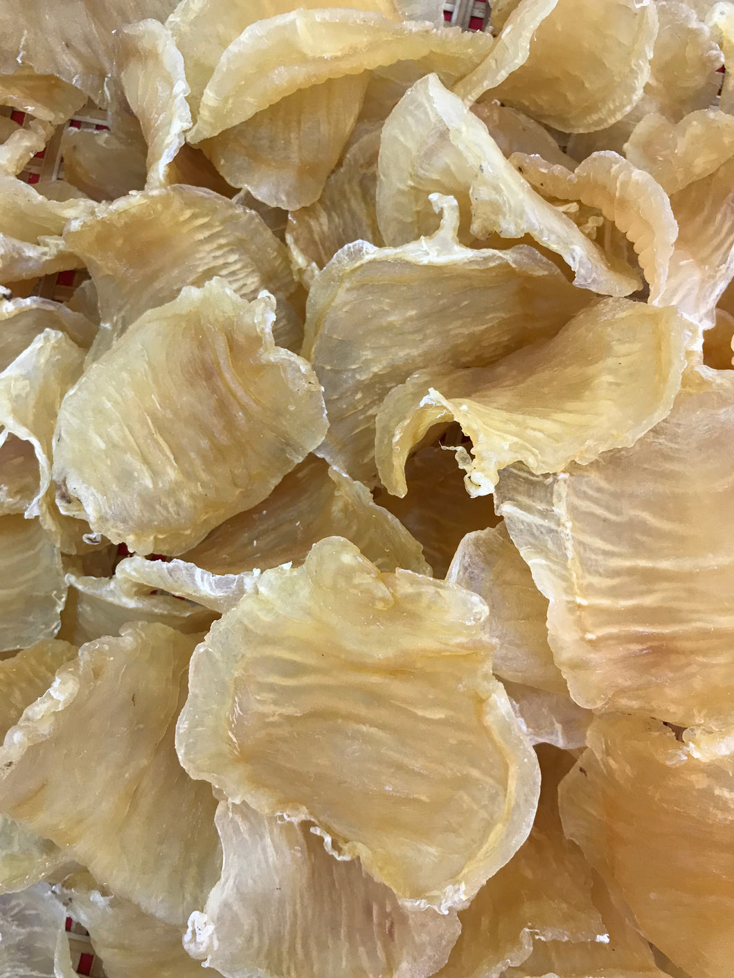 30頭野生深海鰵魚膠 (半斤裝/300g)